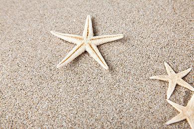 IGN评《女神异闻录：夜幕魅影》仅6分：抽卡导致的表面兄弟！